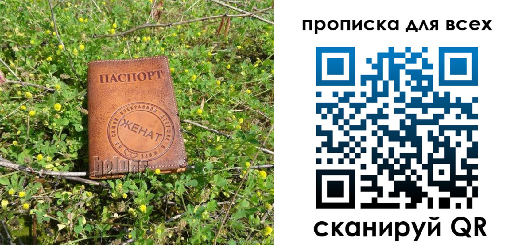 прописка поиск в Калининске